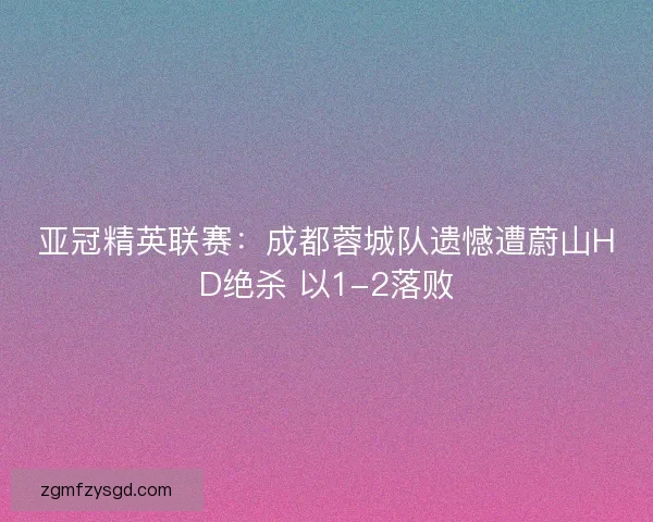 亚冠精英联赛：成都蓉城队遗憾遭蔚山HD绝杀 以1-2落败