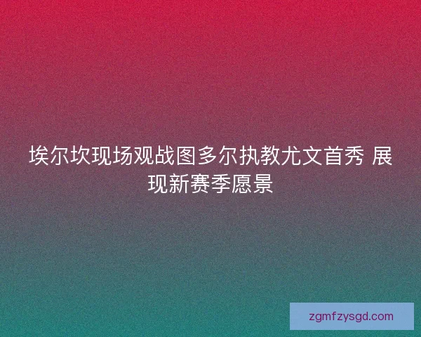 埃尔坎现场观战图多尔执教尤文首秀 展现新赛季愿景
