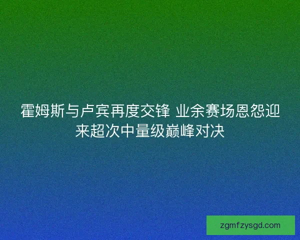 霍姆斯与卢宾再度交锋 业余赛场恩怨迎来超次中量级巅峰对决